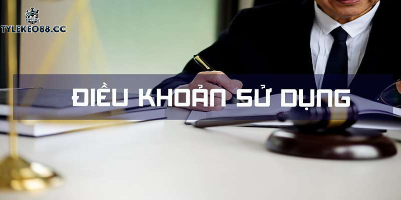 Những nội dung chính trong điều khoản sử dụng tại tylekeo88