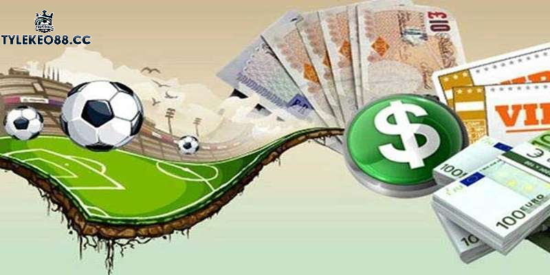 Tại sao kèo 0.5 1 là lựa chọn ưa thích của các tay chơi cá cược?