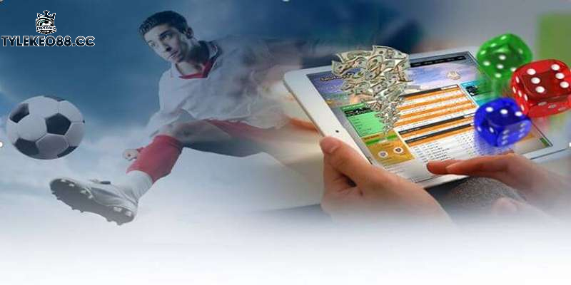 Bí quyết giúp tân thủ cá cược hiệu quả với Kèo 2.5 3 tại tylekeo88