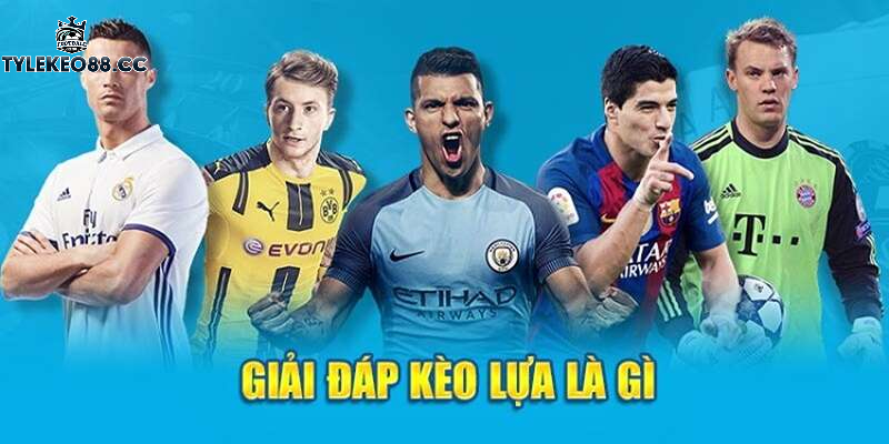 Tổng quan về cách đặt kèo lựa trong cá cược thể thao
