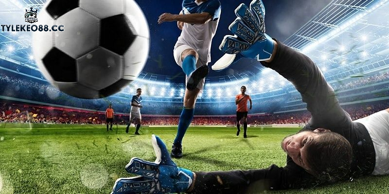 Chiến thuật đặt cược hiệu quả với kèo tài xỉu 1 1/4