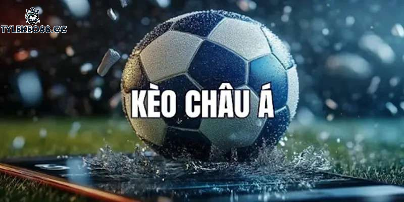 Tại sao giới cược thủ tin tưởng nhà cái 1XBET?