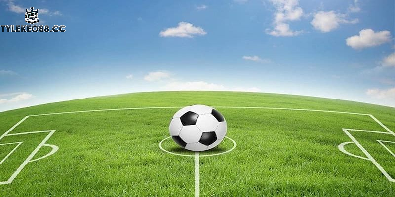 Bật mí bí quyết Soi kèo bóng đá hiệu quả từ chuyên gia
